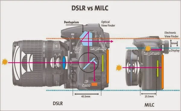 DSLR vs Mirrorless
