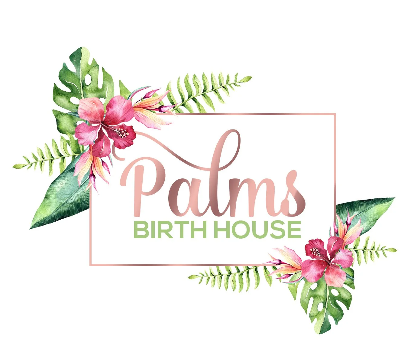 Palms Birth House