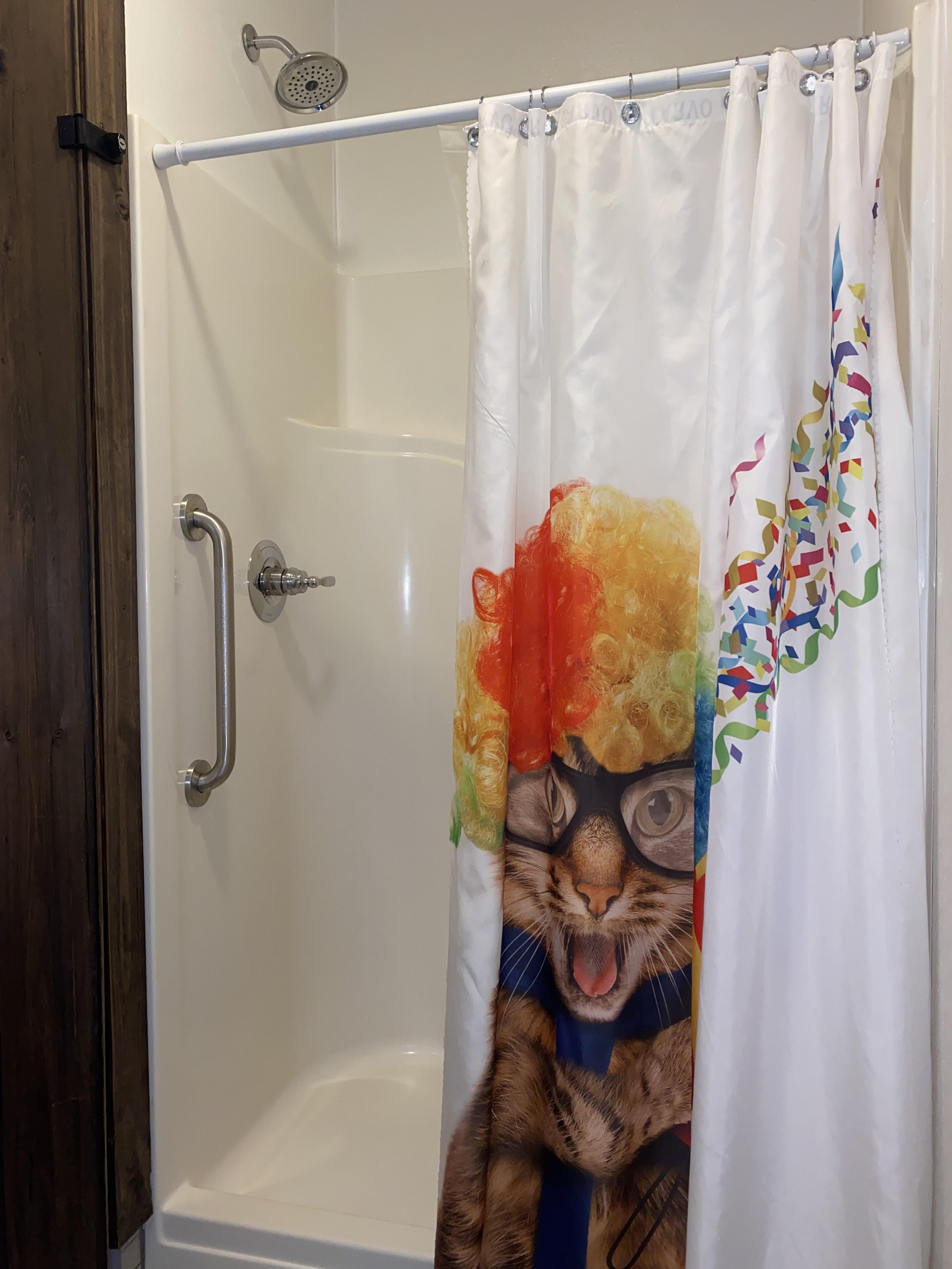 Cat Shower.jpg
