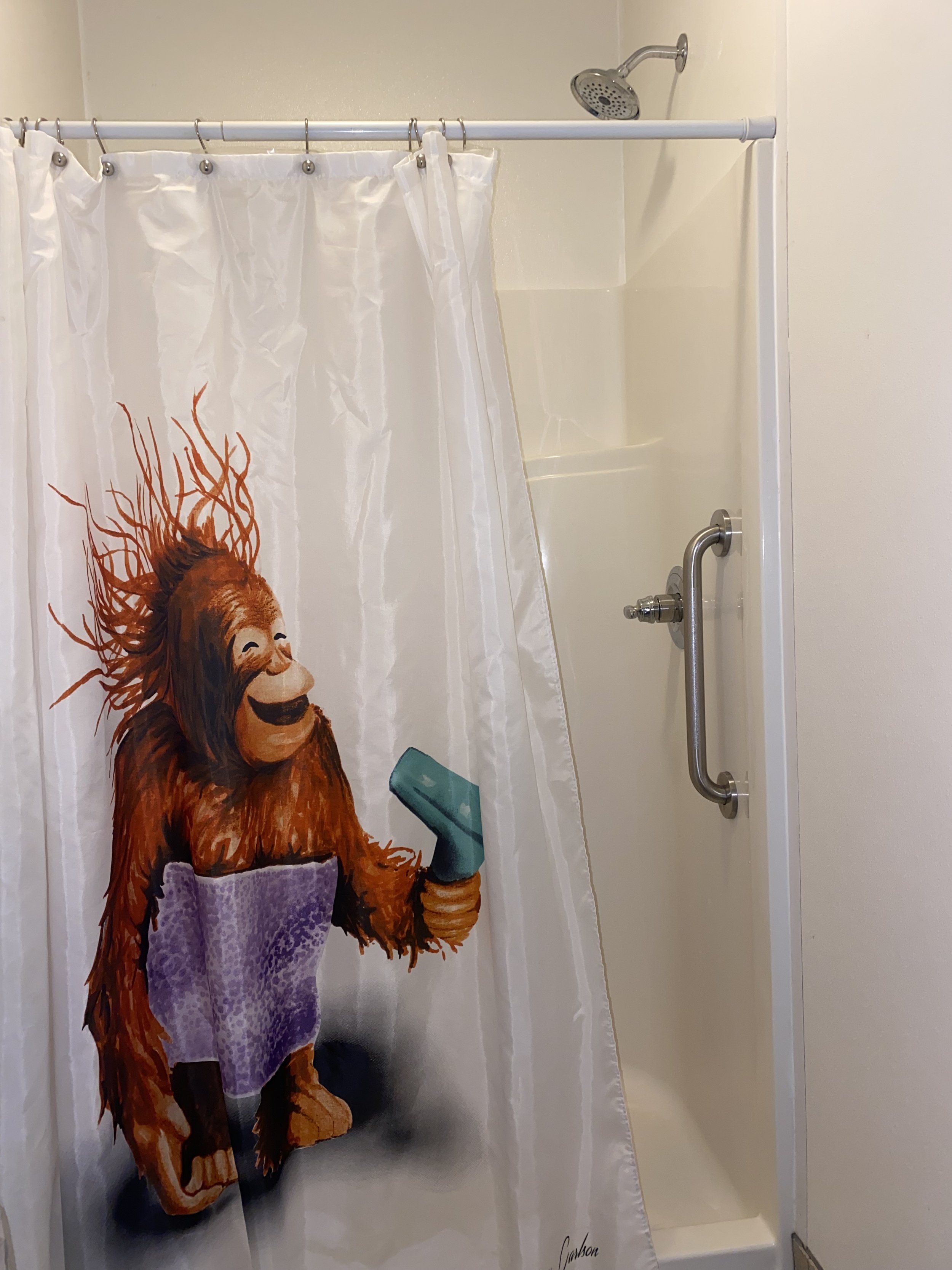 Orangutan Shower.jpg