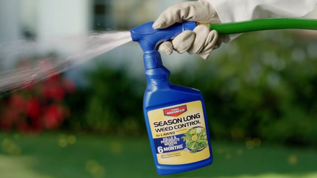 Bayer Advanced