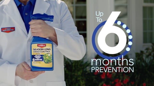 Bayer Advanced