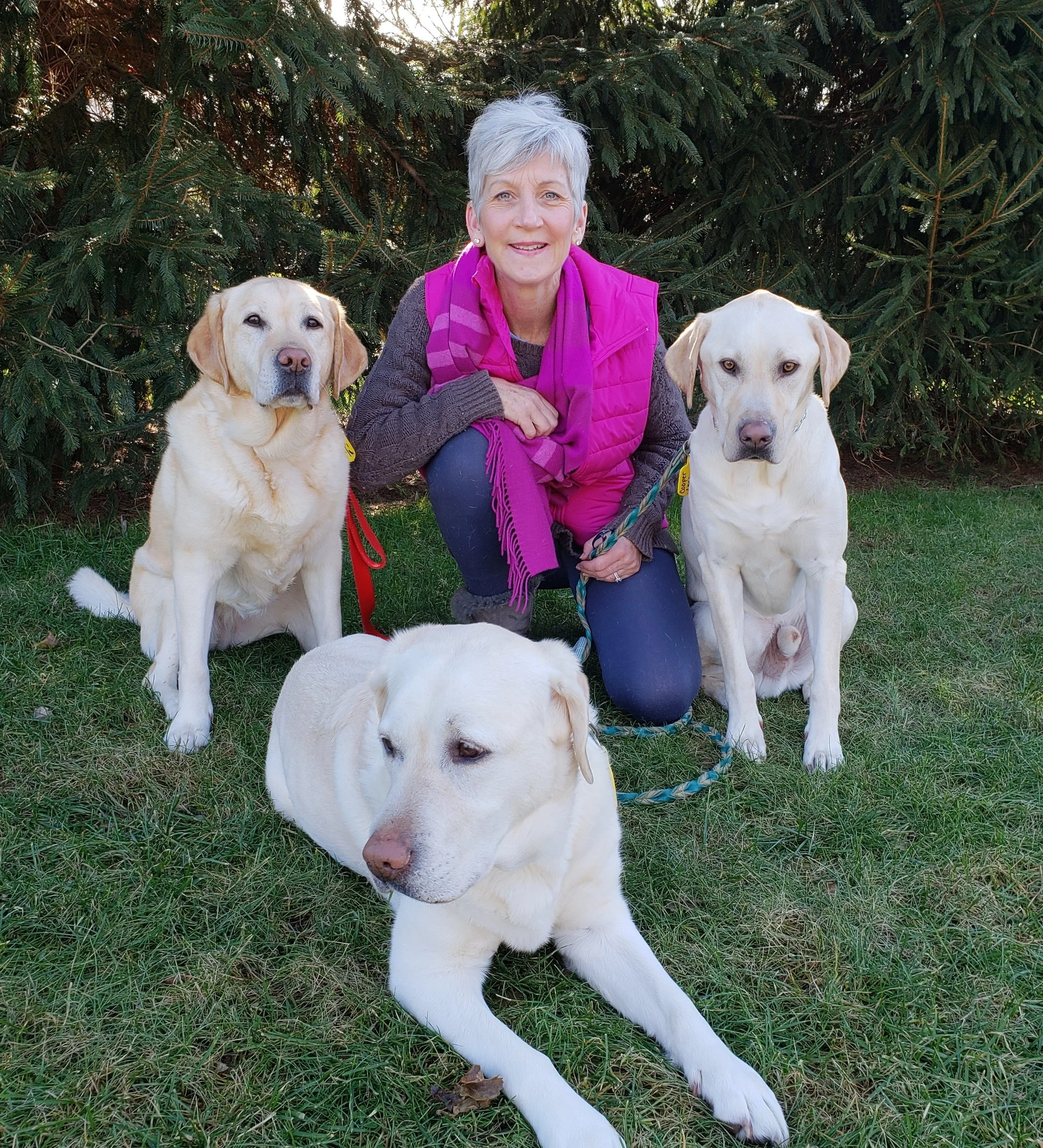 A+-+Dogs+good%2C+moderate+smile.jpg