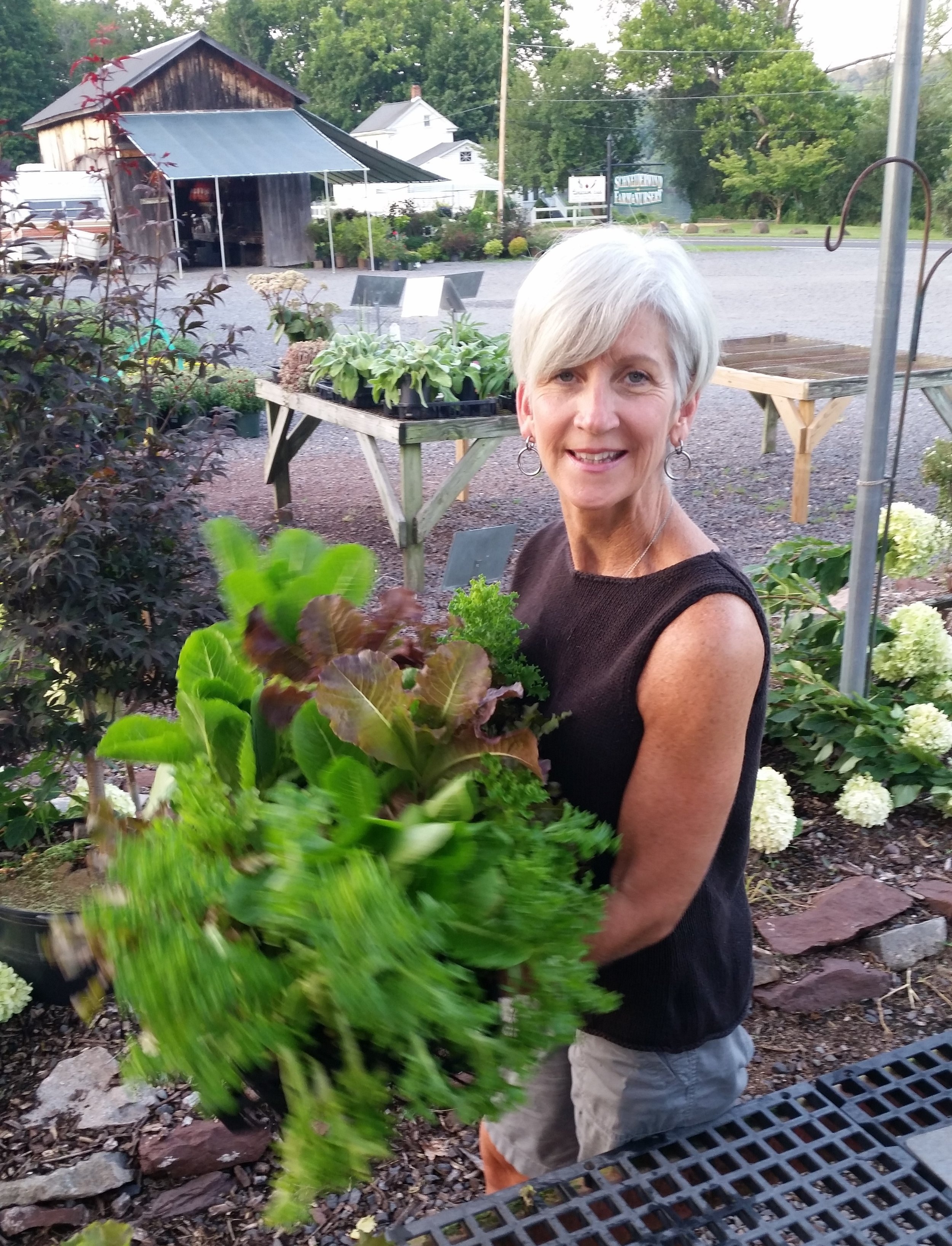 Summer+Photo+-+CSA+-+leaves+in+motion.jpg