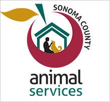 animal-services219.jpg