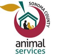 animal-services219.jpg