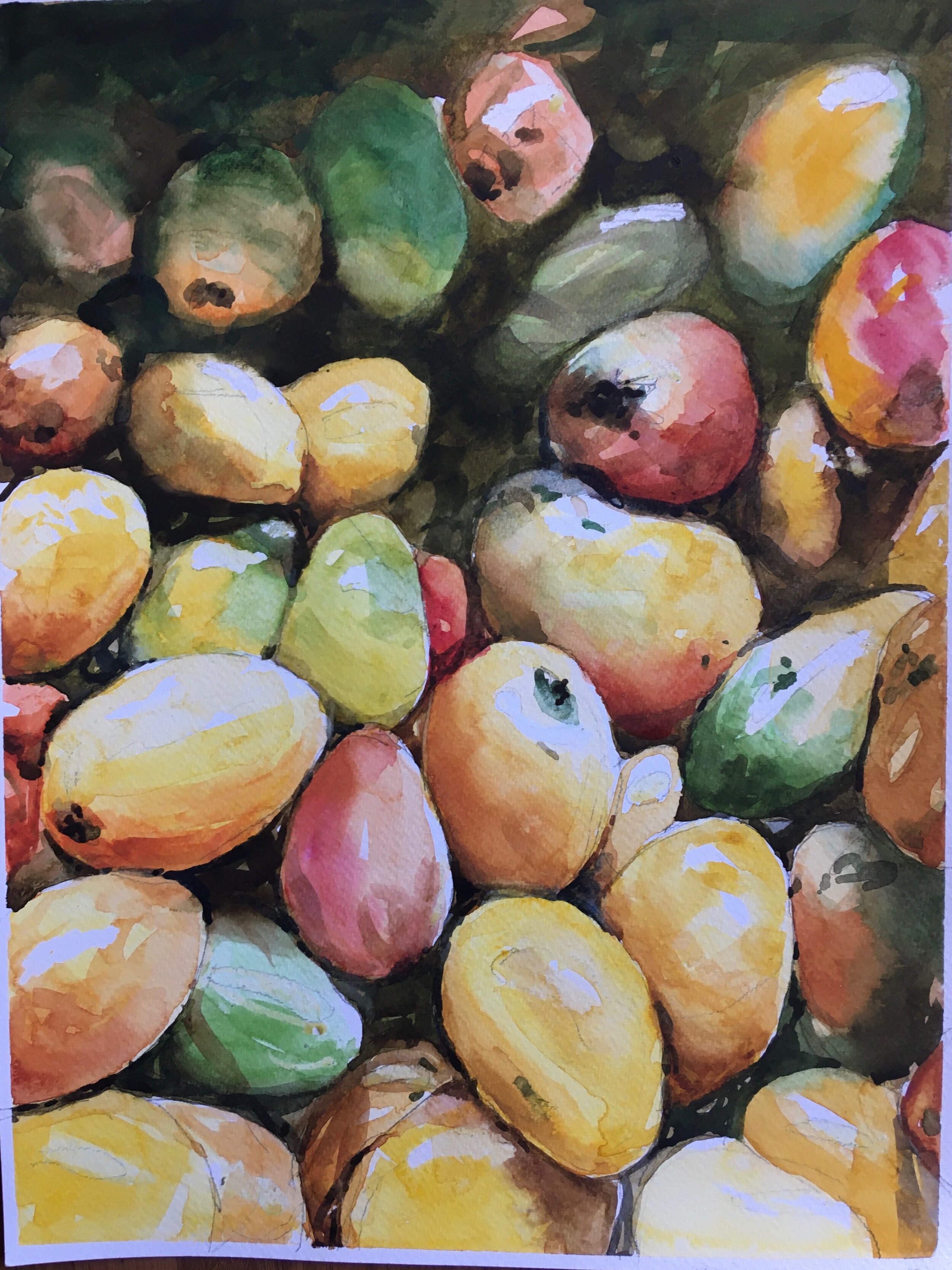  Mangoes Mangoes !2”x16” Water colour 