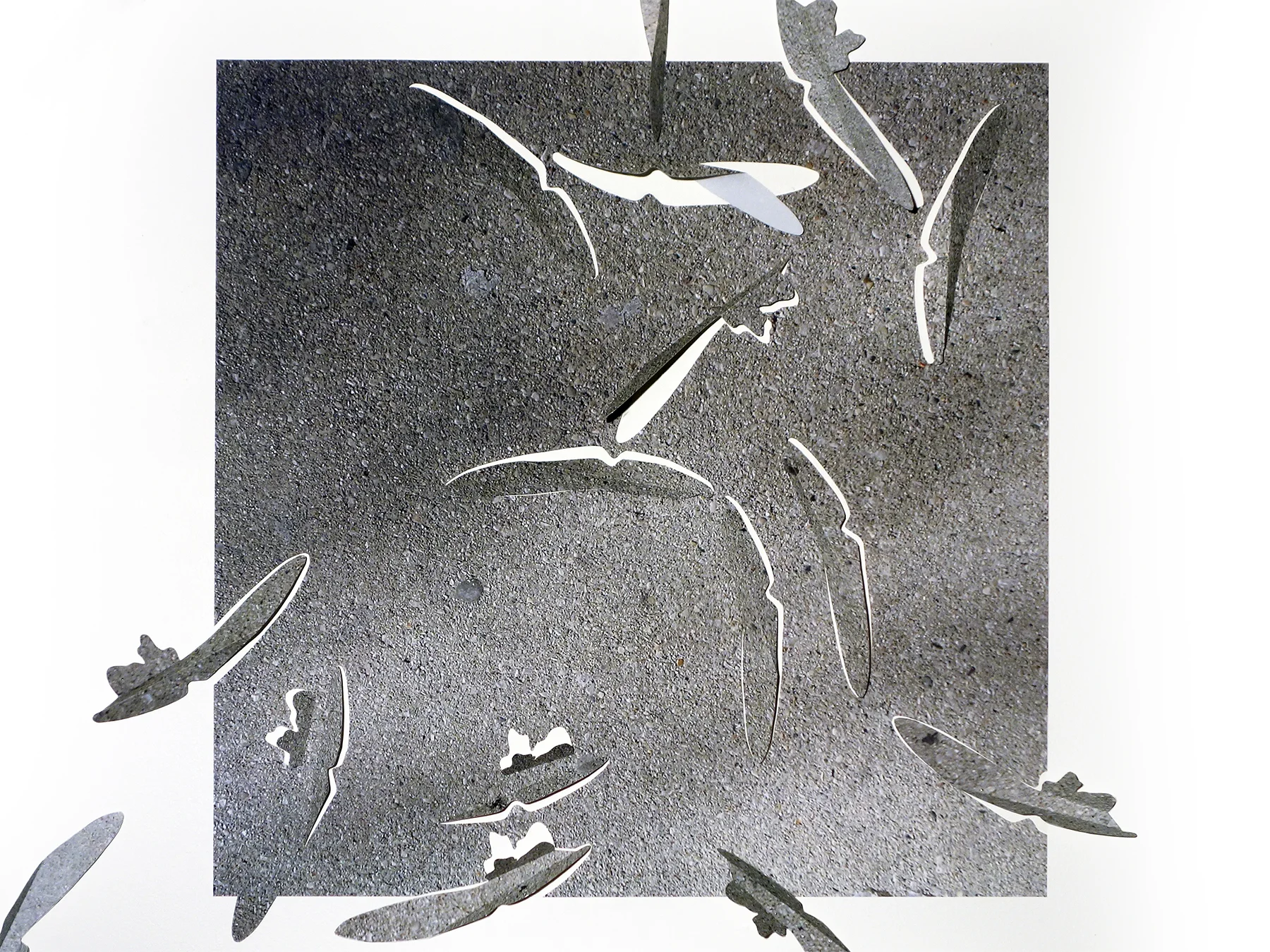 17-19-13 LEAFLETS triptych 1 of 3, cut photographic film, detail 2017