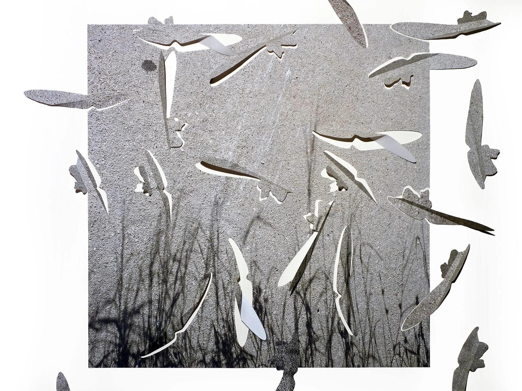 17-19-13 LEAFLETS triptych 2 of 3, cut photographic film, detail 2017