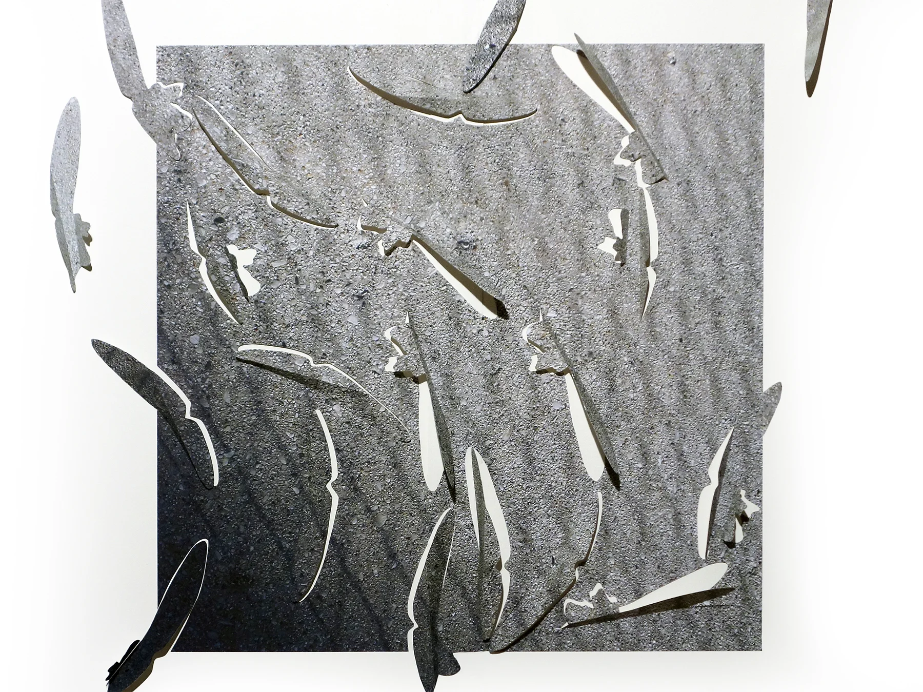 17-19-13 LEAFLETS triptych 3 of 3, cut photographic film, detail 2017