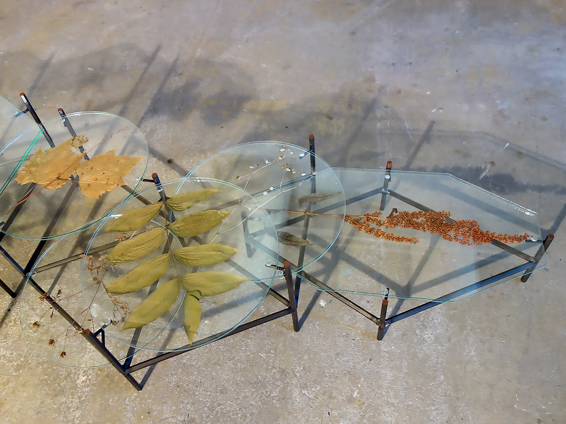 3-4thNature2detail_JSebastian_SCU_2018.jpg