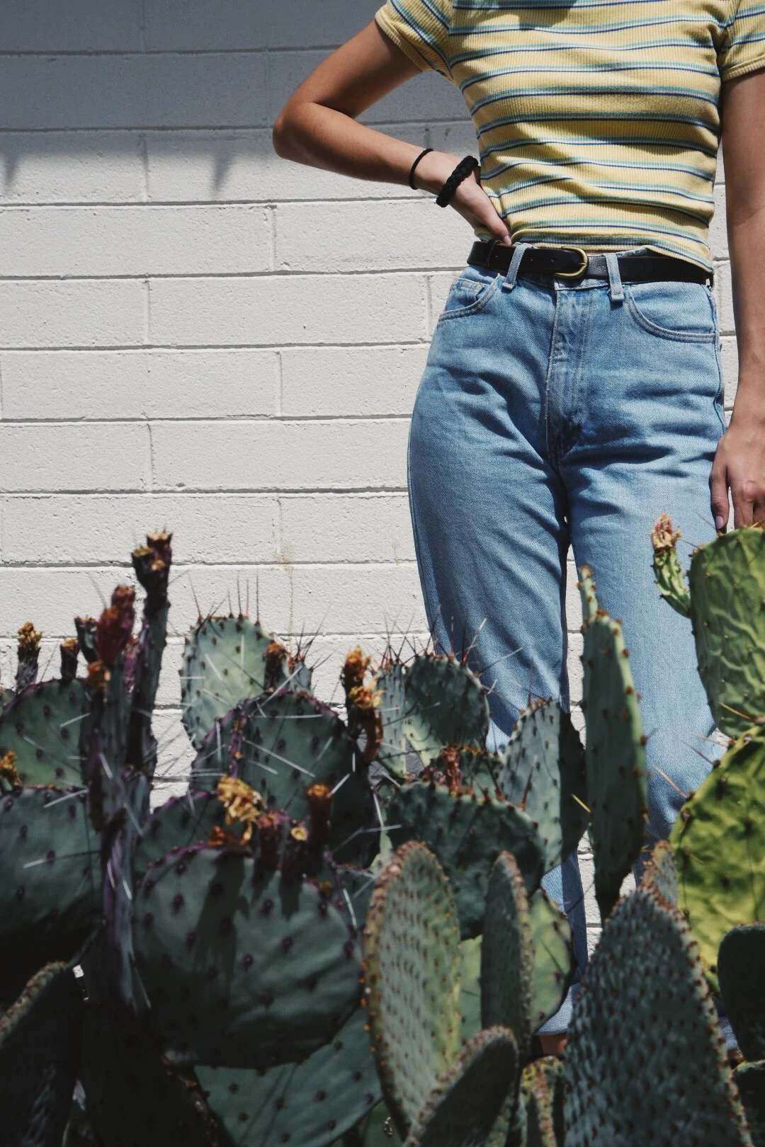 miss albuquerque.JPG