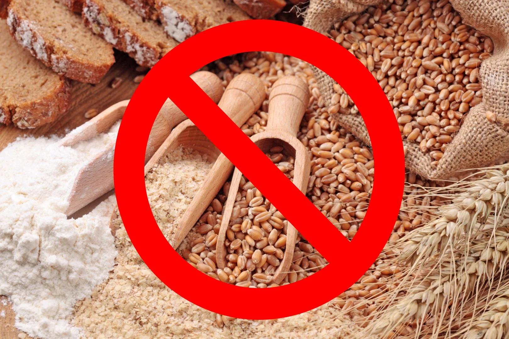 Grains-Large.jpg