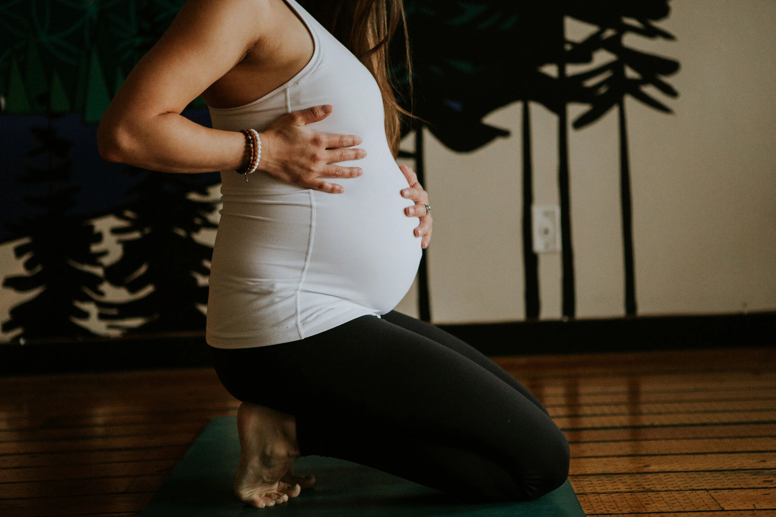 Winter Prenatal Series 