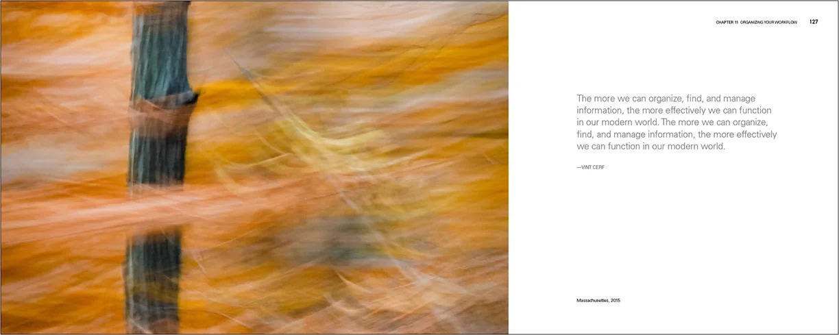 PassengerSeat_SampleCh-6_9inW_136dpi.jpg