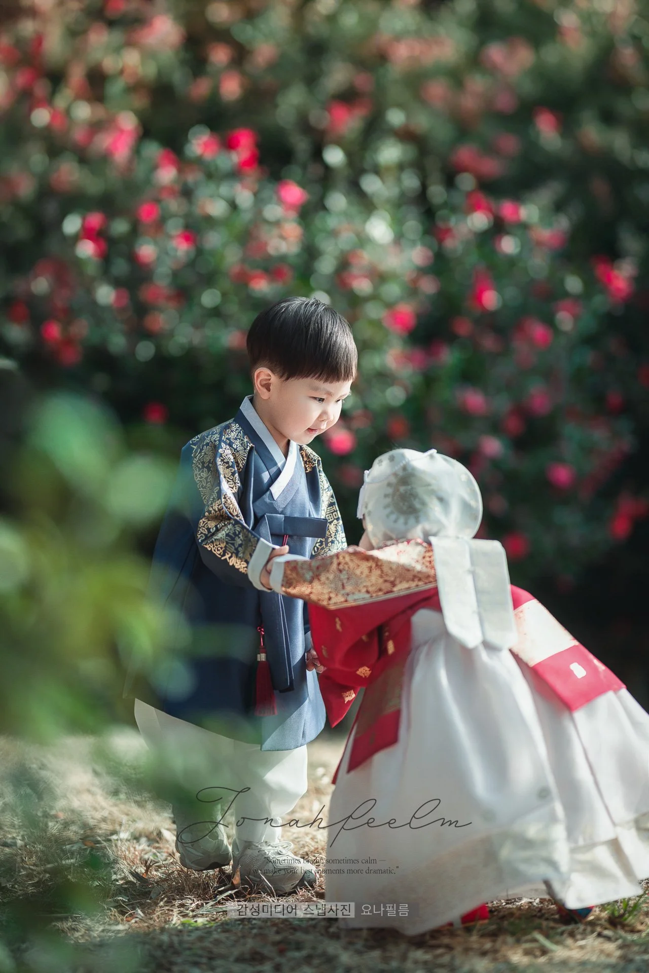 1컷 사진 SCENE:ONE