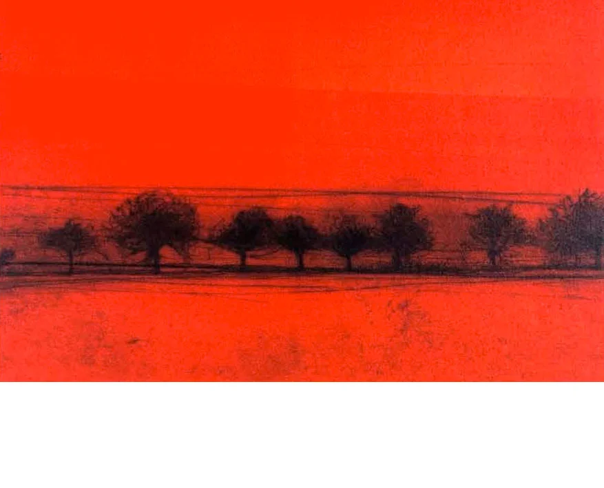 Paysage