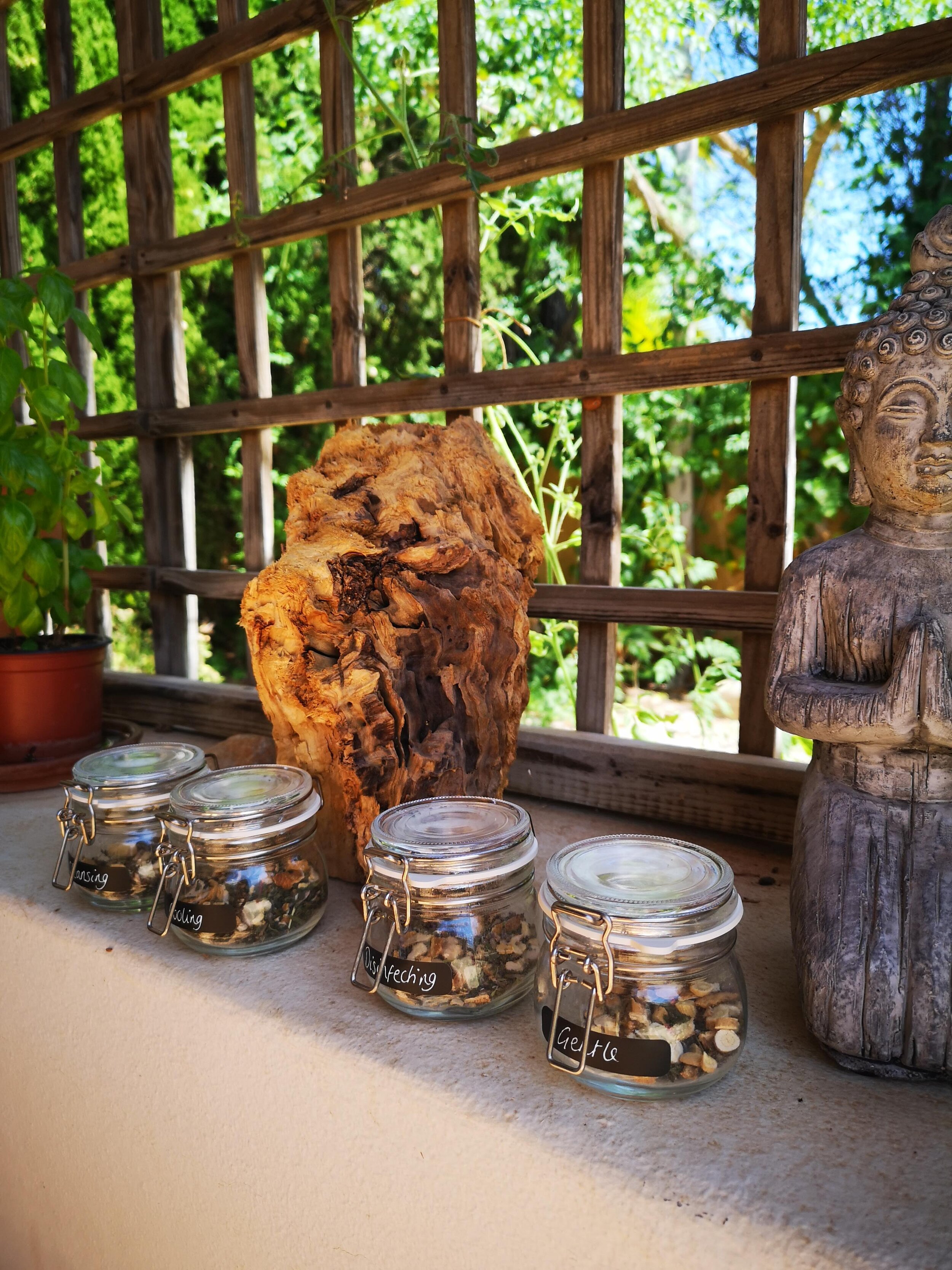 Buddha herbs.jpg