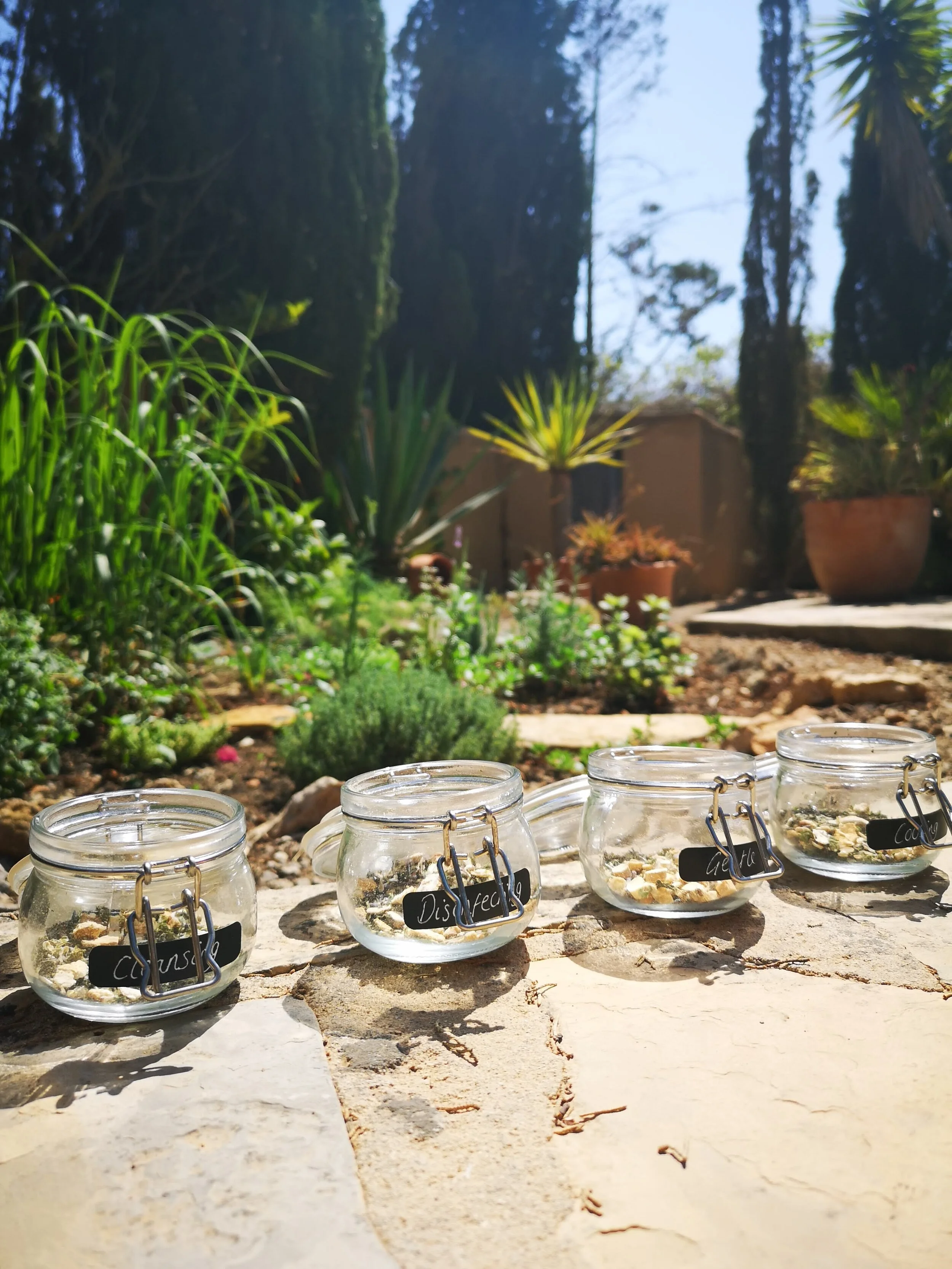 Hebrs in front of herb garden.jpg