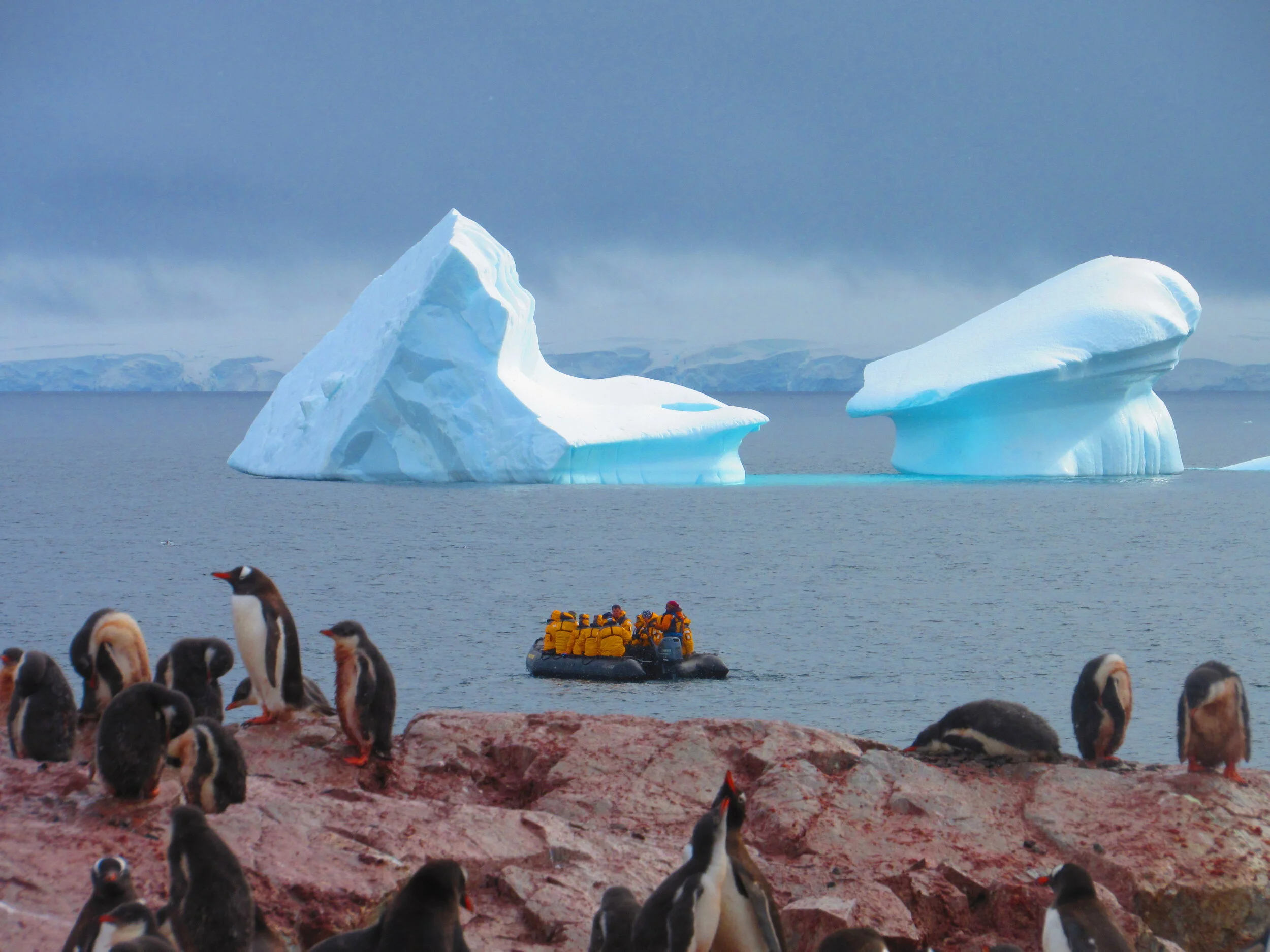  Not your typical travel agency 