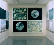 Contemplation On Our Awareness of the Moon