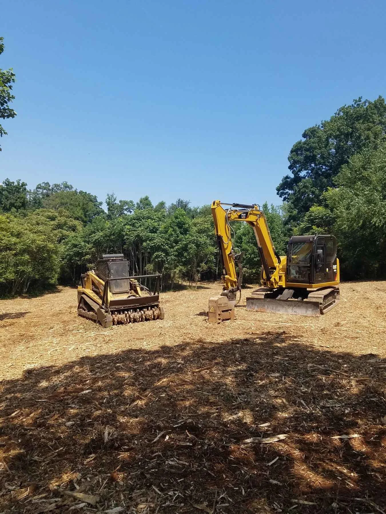 2 Acres of Forestry Mulching