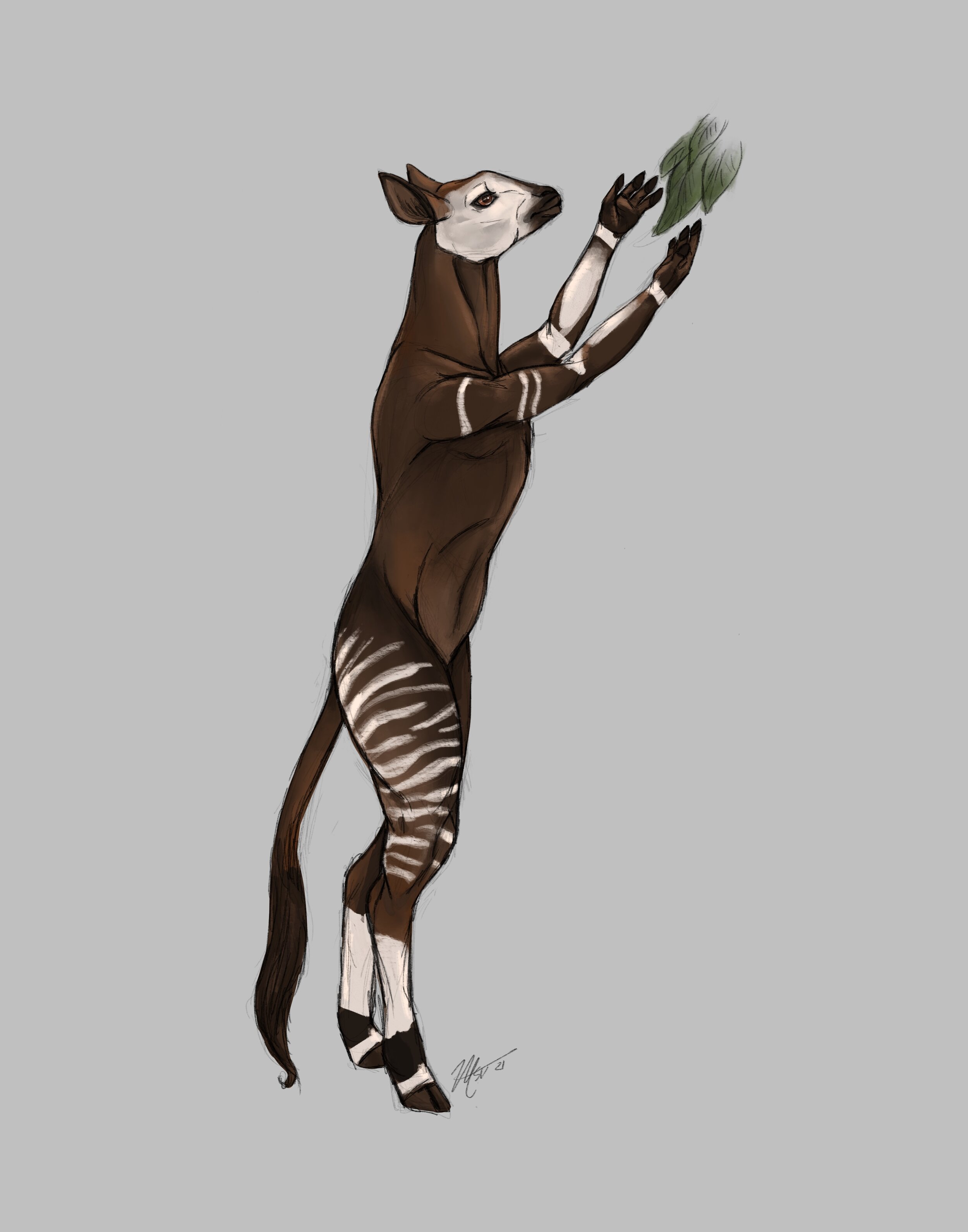 LESSON 1 - Okapi-Human Hybrid