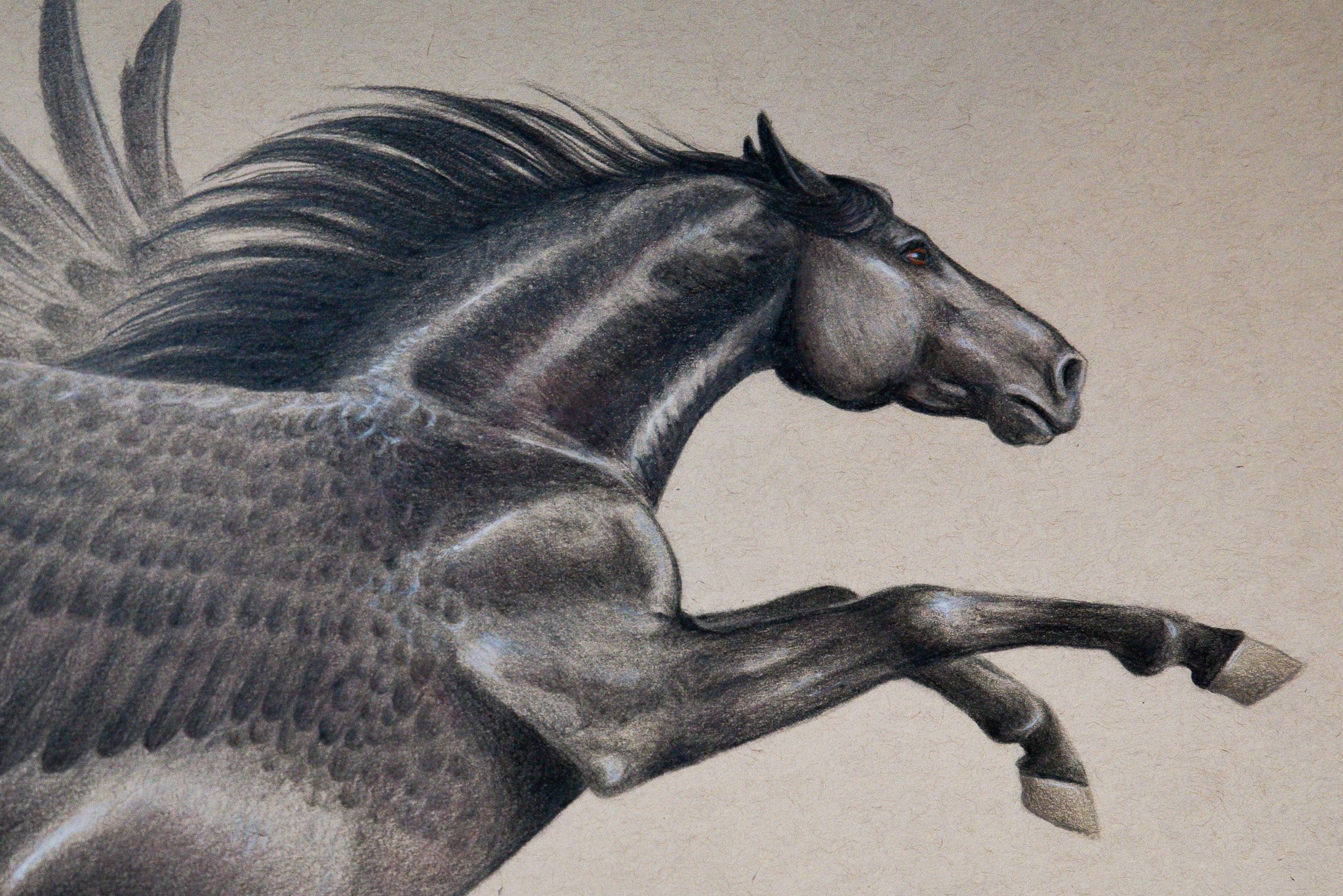 Black Pegasus - Detail