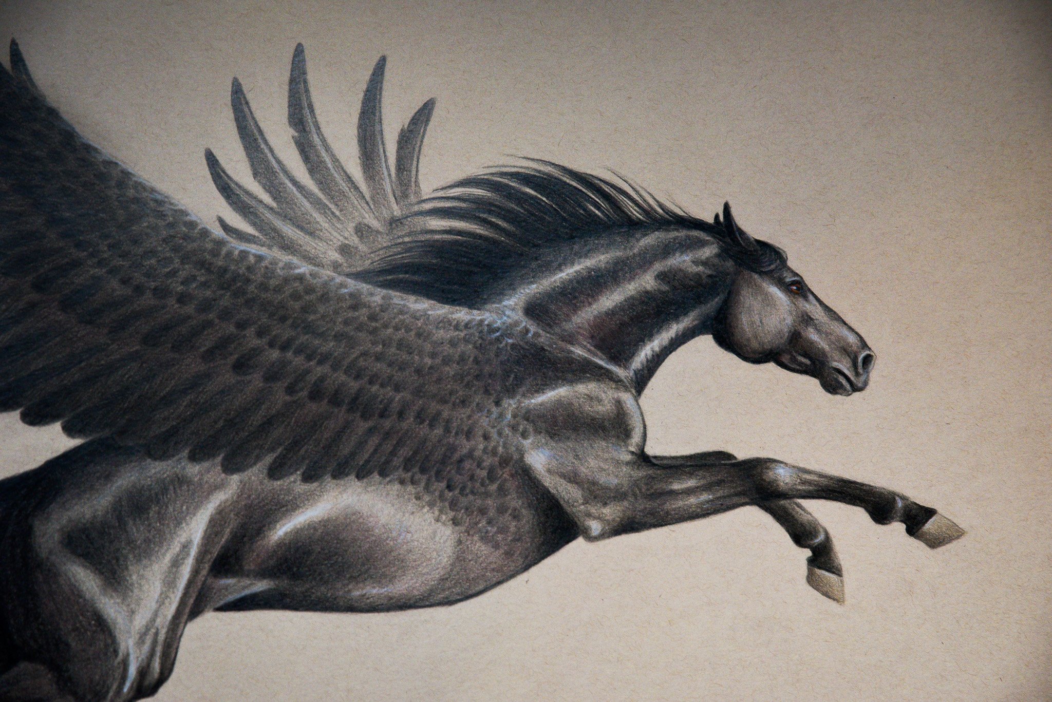 Black Pegasus - Detail