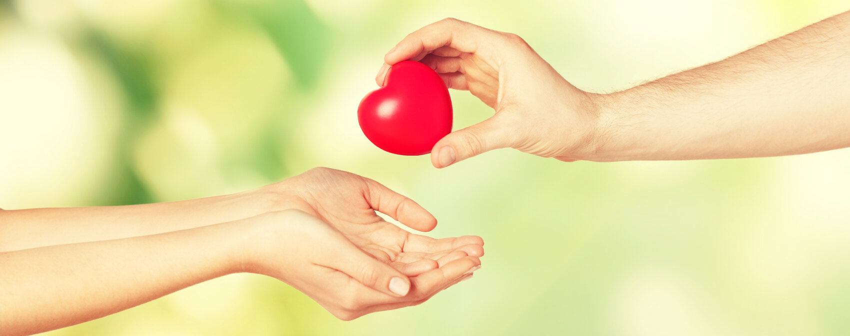 Donor Recognition: Complete Strategy Guide &amp; 13 Ideas