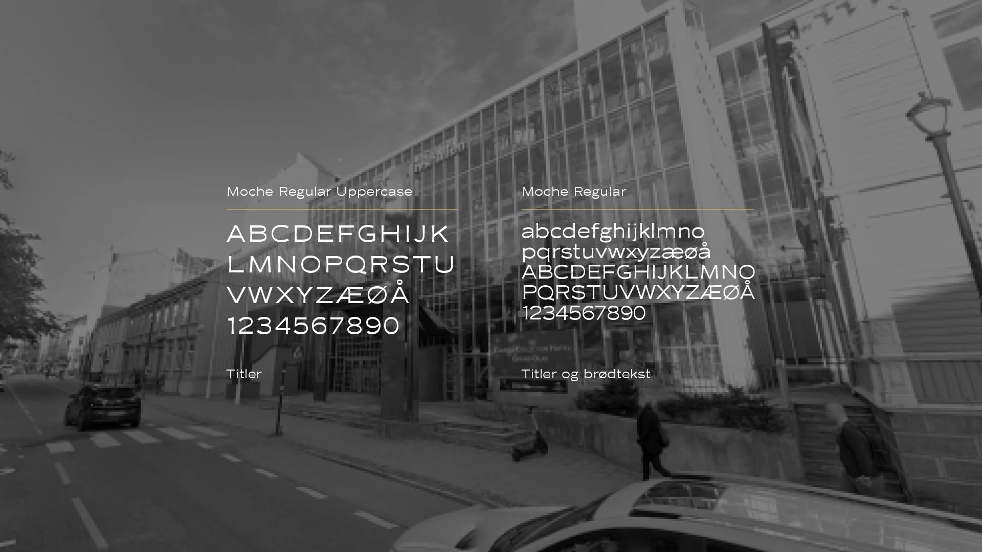 Monografisk_web_presentasjon5.jpg