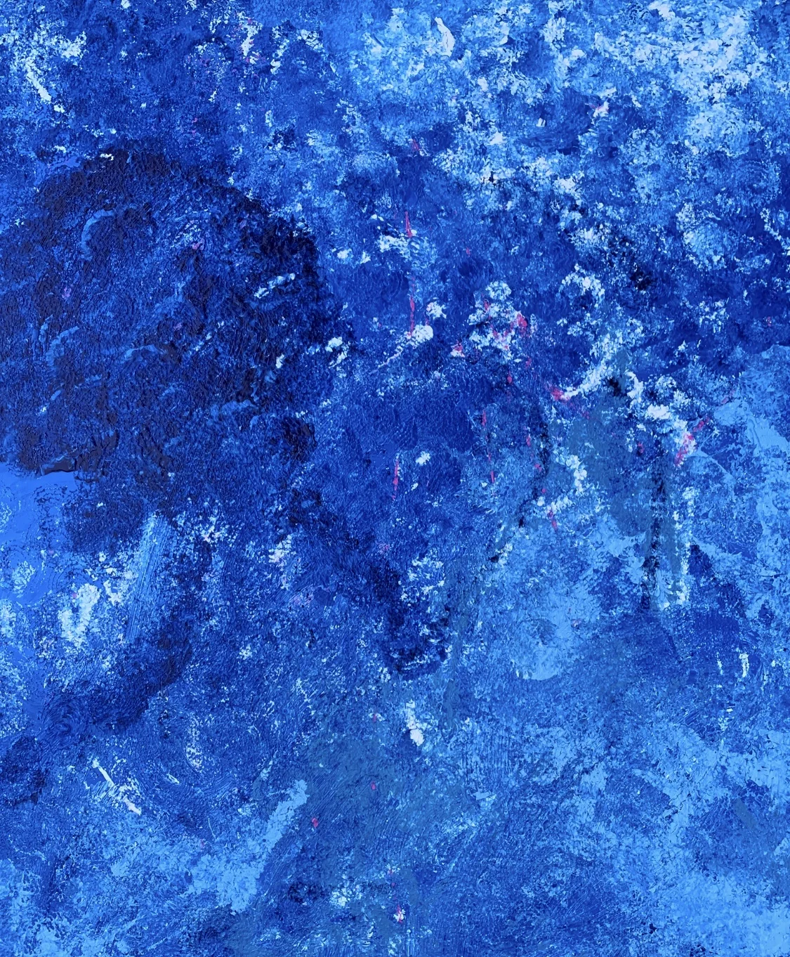 jellyfish.jpg