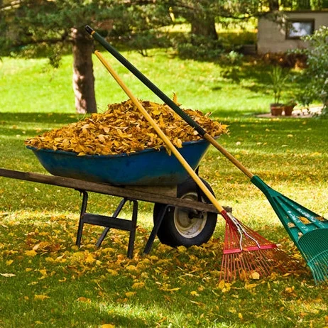 Spring-FallCleanup.jpg