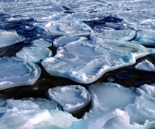 Student Fellows Learn from Nobel Physics Prize Winner, Artificial Intelligence Expert, Physical Therapist, and Sea Ice Scientist Via Fellowship Program