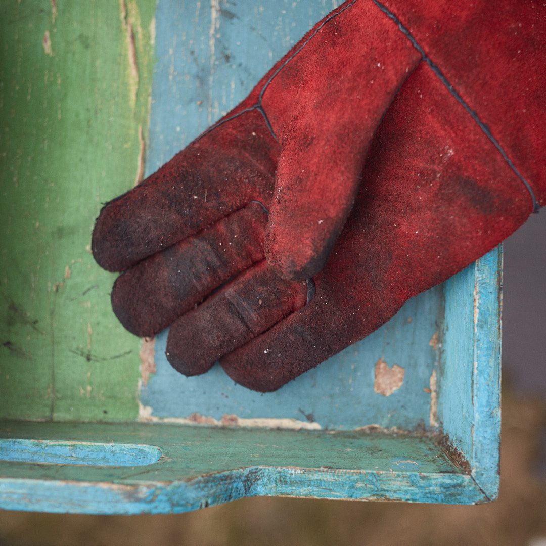 glove and tray.jpg