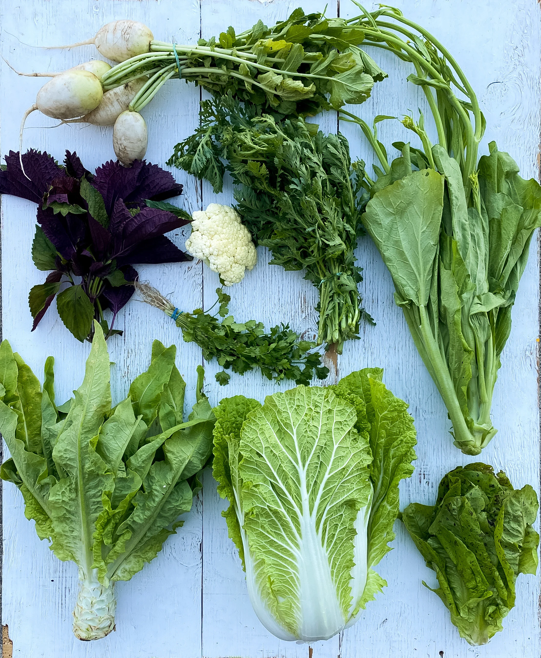 CSA 2020 Week 2