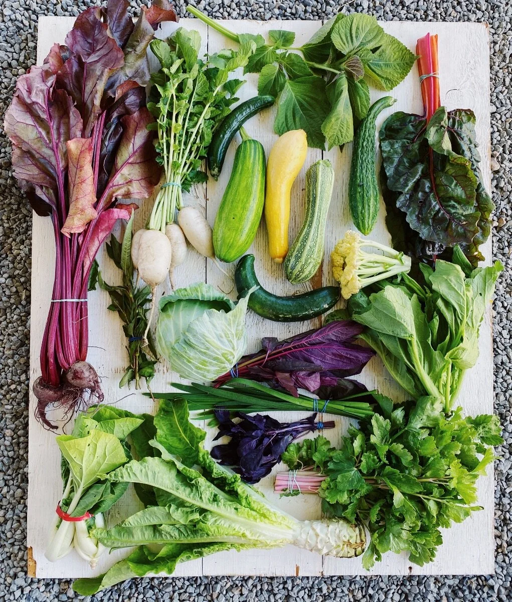 CSA 2020 Week 3