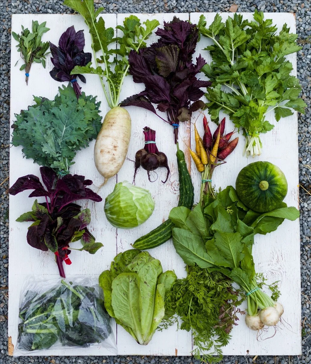 CSA 2020 Week 4
