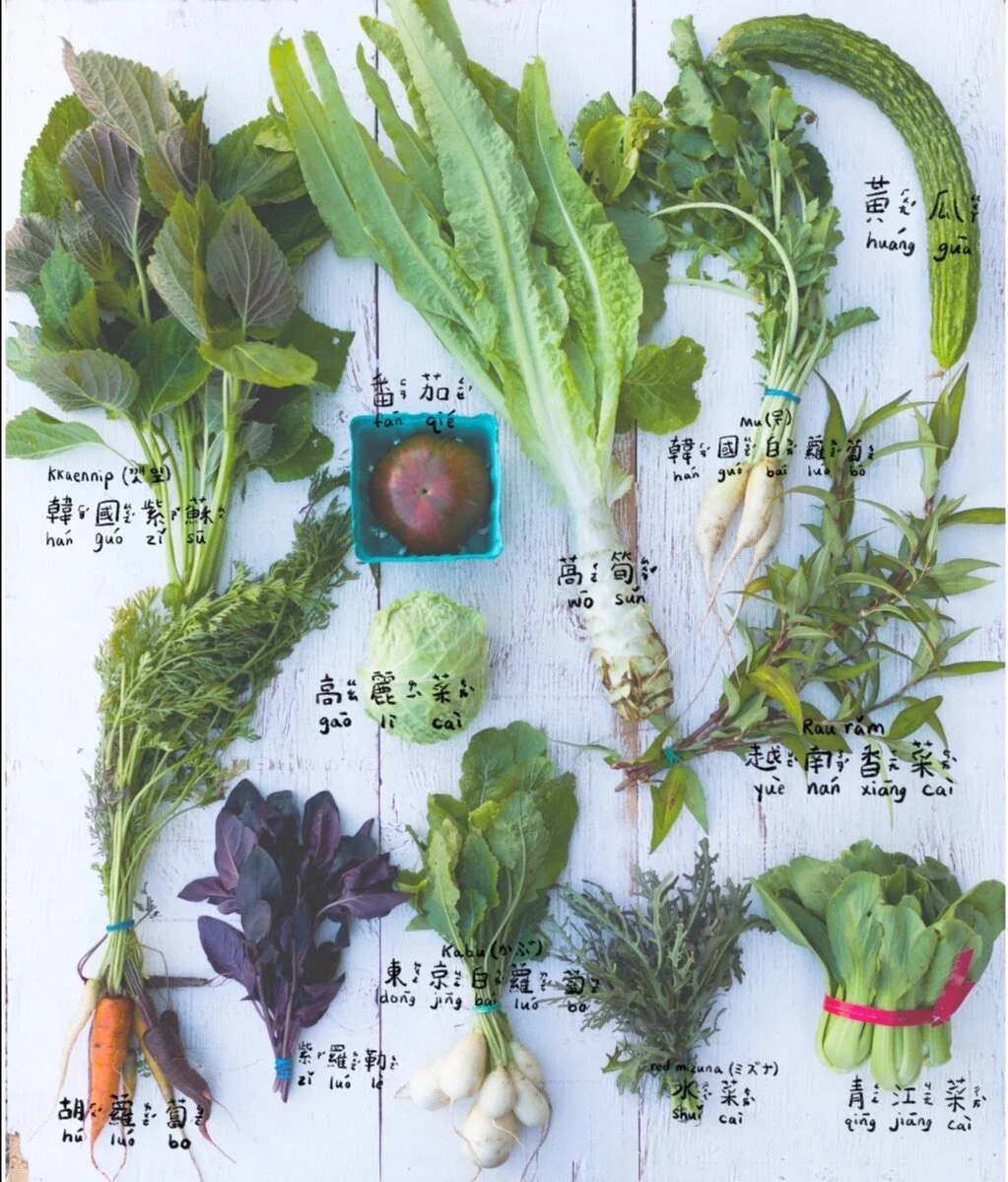 CSA 2020 Week 6