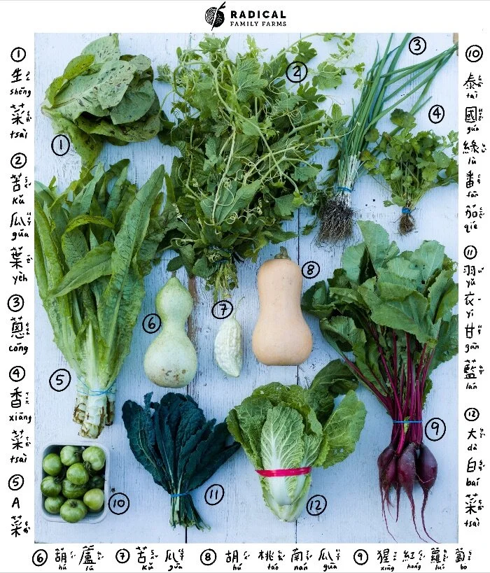 CSA 2020 Week 10 - BUNNIES