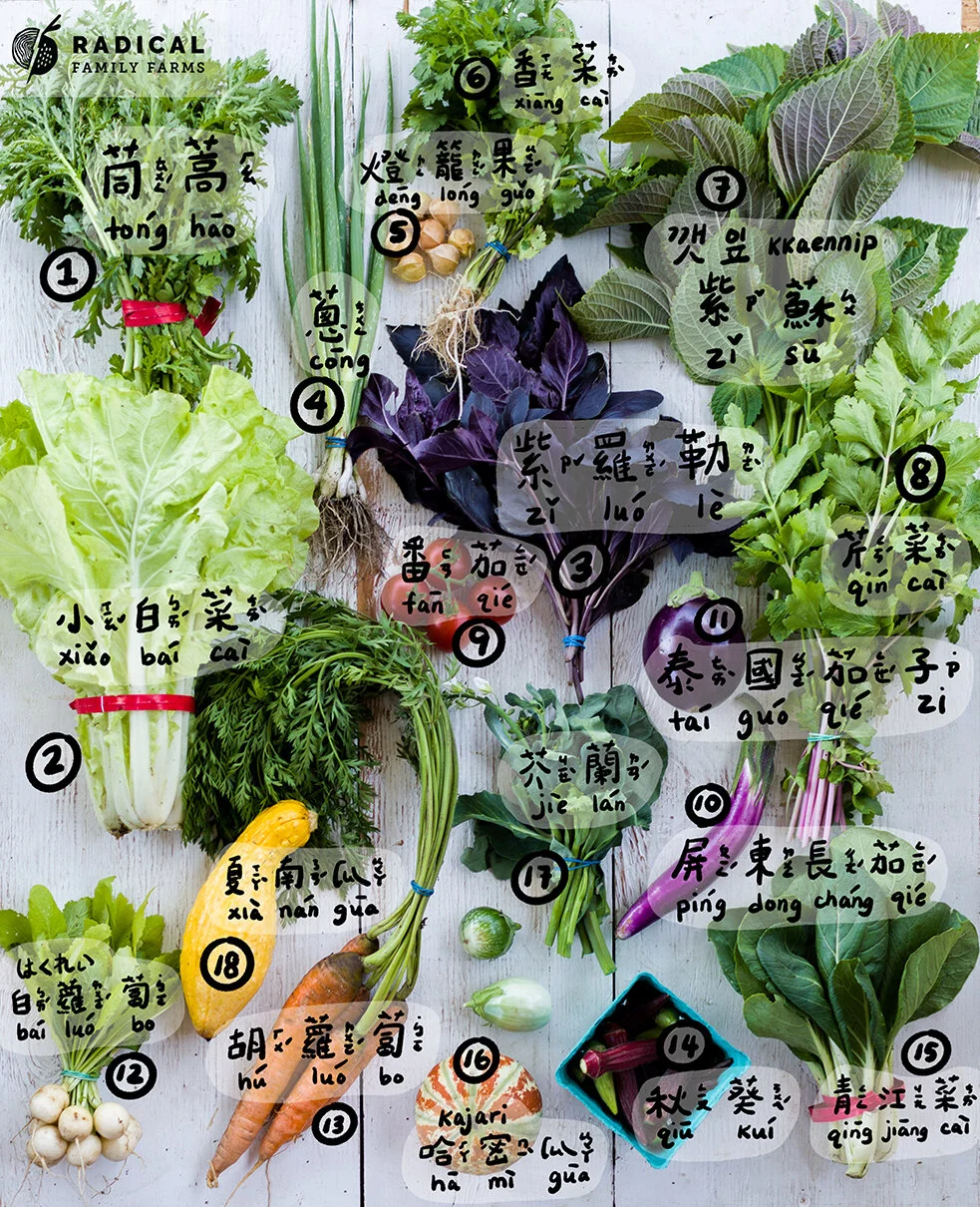 CSA 2020 Week 4 - BUNNIES