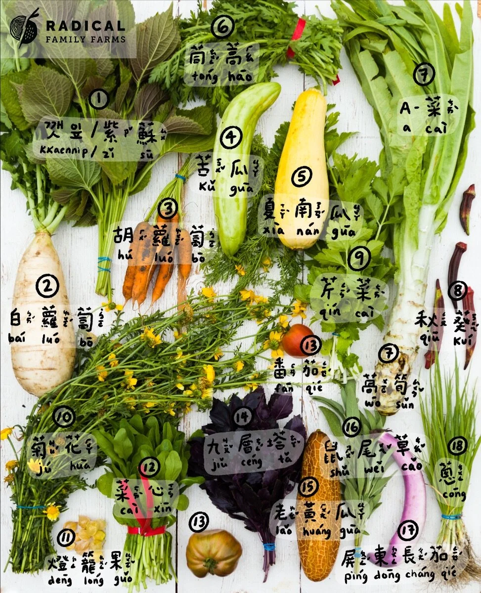 CSA 2020 Week 5 - BUNNIES