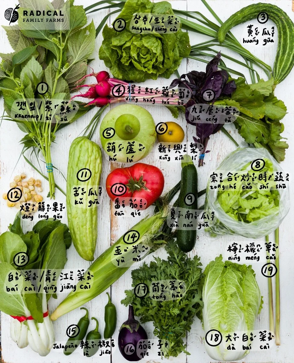 CSA 2020 Week 6 - BUNNIES