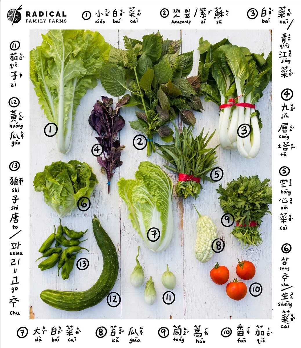 CSA 2020 Week 7 - BUNNIES