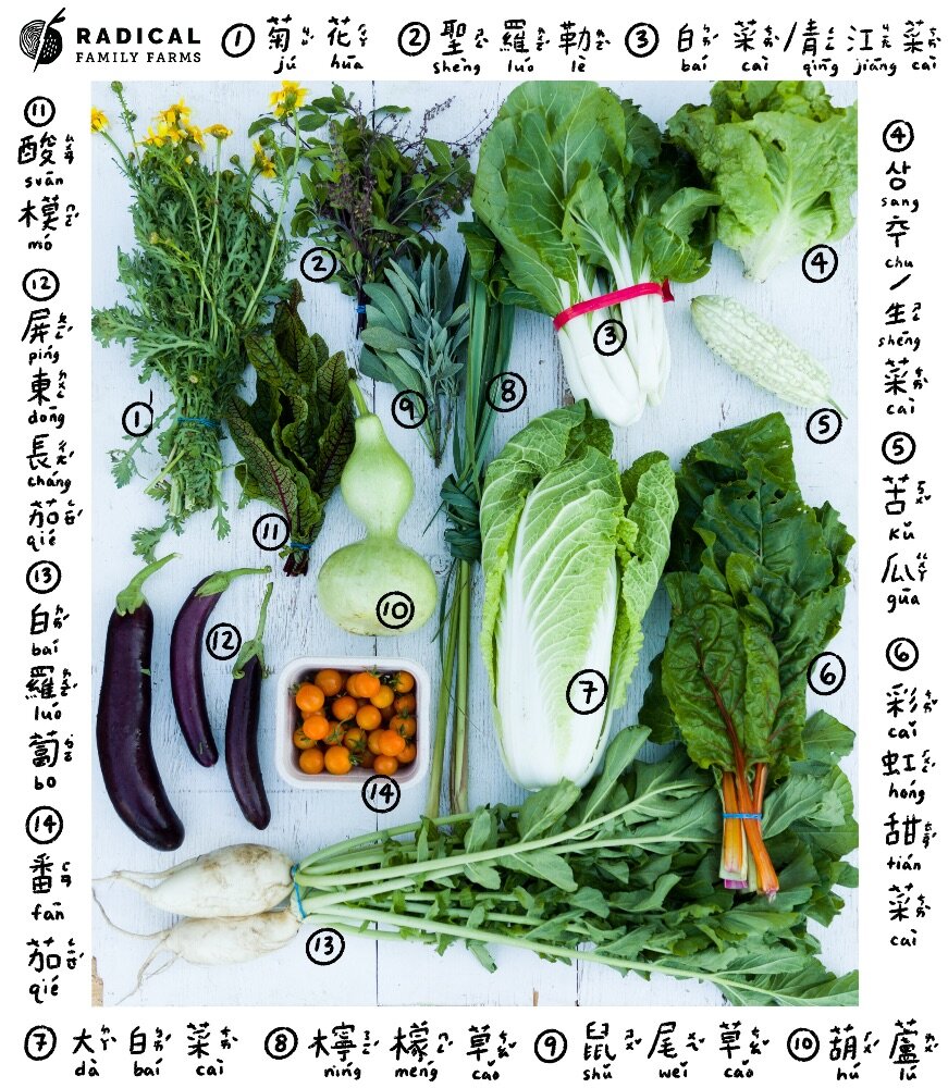 CSA 2020 Week 8 - BUNNIES