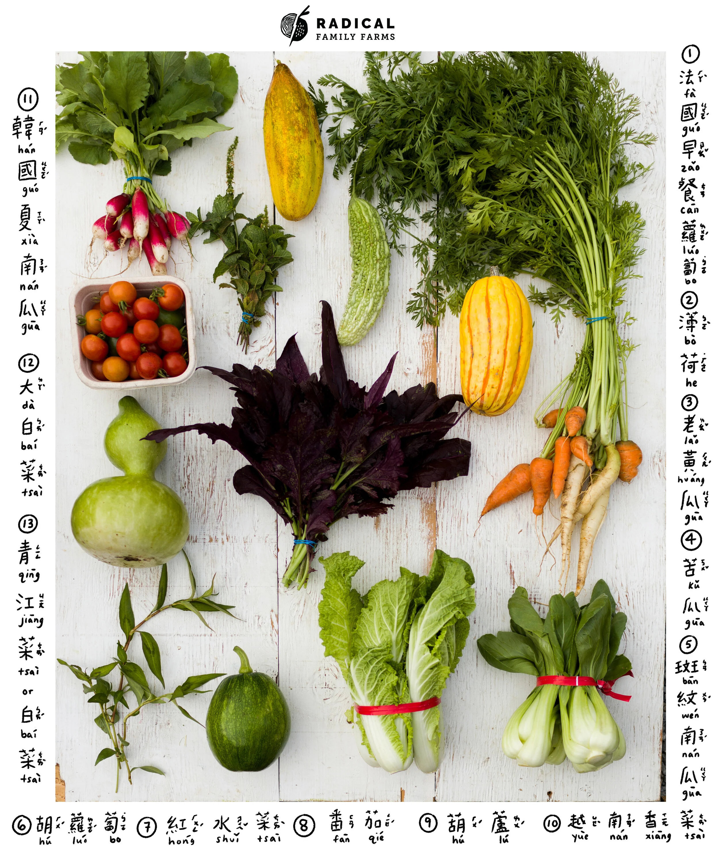 CSA 2020 Dragons Week 13