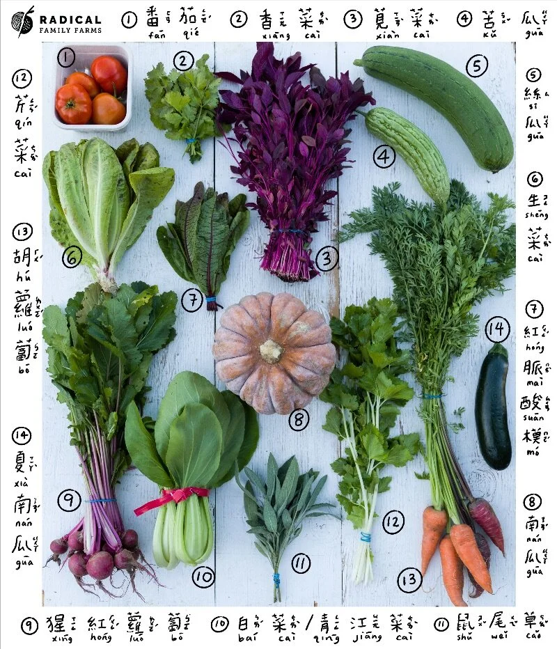 CSA 2020 Week 9 - BUNNIES