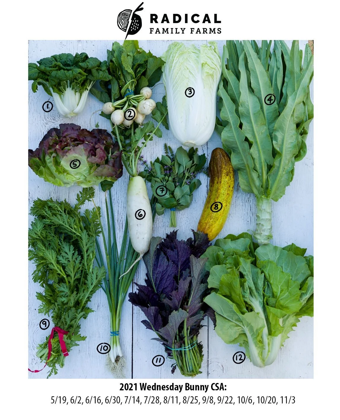 6/16/2021 Bunnies CSA - San Francisco and South Bay