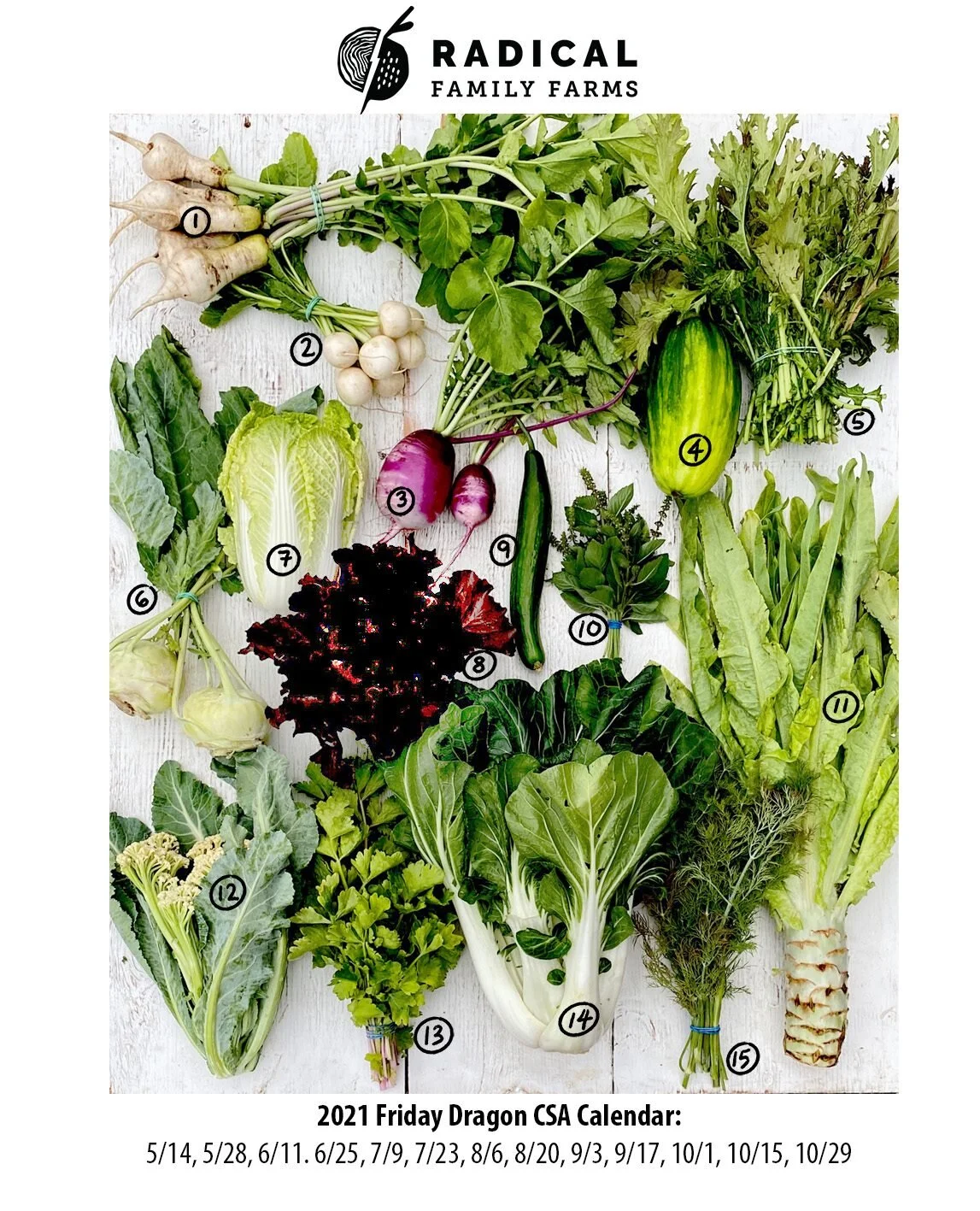 5/28/2021 Dragons CSA - Sonoma County