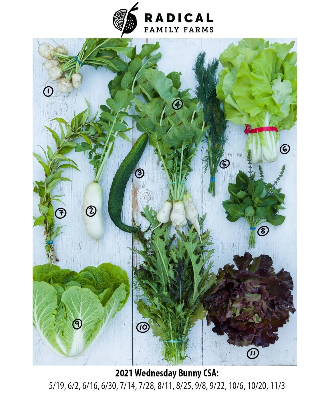 6/2/2021 Bunnies CSA - San Francisco &amp; East Bay